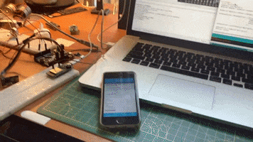 Animated GIF