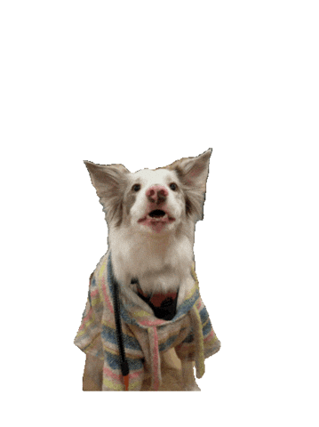 Matet's Kitchen Sticker