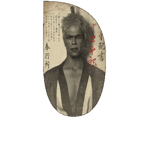 One Piece Cosplay Sticker