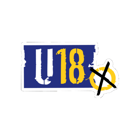 BJR Bayerischer Jugendring Sticker
