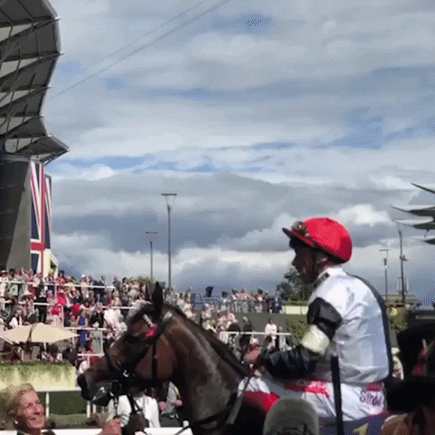 royal ascot win GIF by World Horse Racing