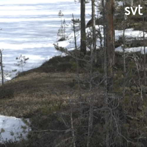 Look At Me Hello GIF by SVT - Find & Share on GIPHY