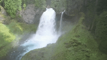 eugenecascadescoast oregon waterfall waterfalls mckenzie river GIF