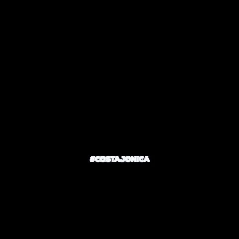 casinocaruso GIF
