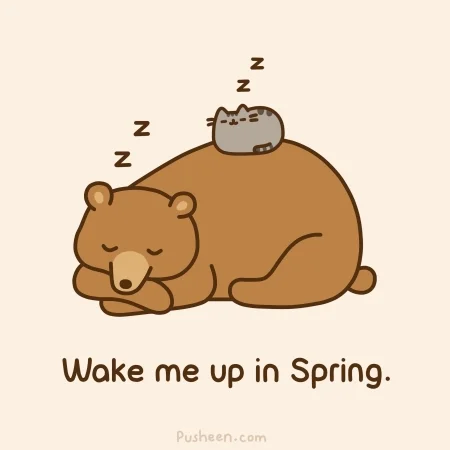 Cat S___p GIF by Pusheen