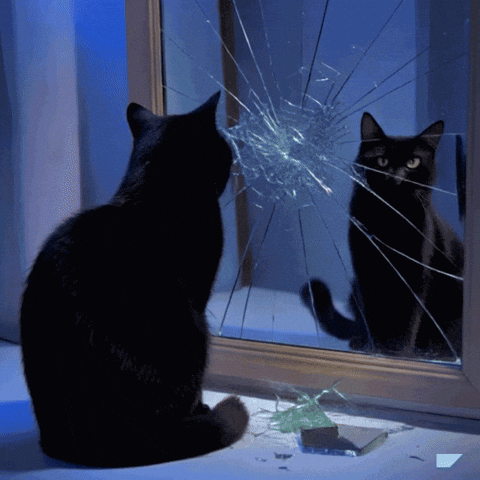 Horror Slasher GIF by SAP