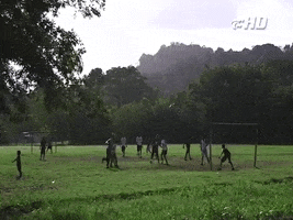 Courts for Kids GIF