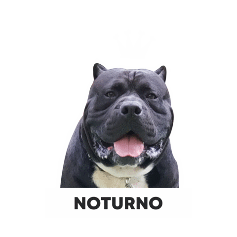 Csclkcrew Sticker by Cuscoloko