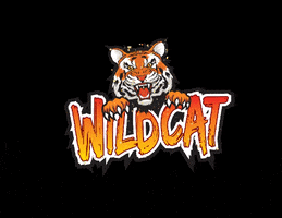 Lc GIF by Lake Compounce