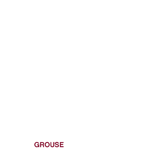 Grouse Mountain Sticker