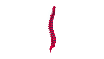 EUROSPINE Sticker