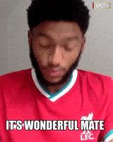 Premier League Football GIF by Liverpool FC