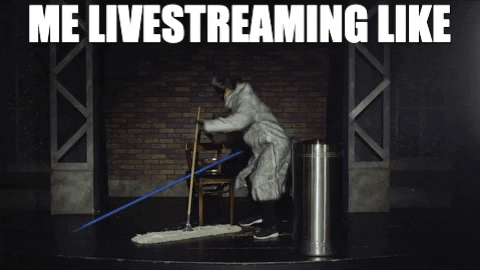  live streaming raccoon livestream going live GIF