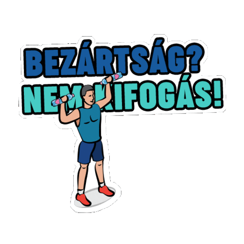 Szentkiralyi Asvanyviz Sticker