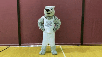 Hurry Up Wolfpack GIF by Cardinal Stritch University