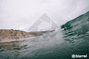 Surf GIF