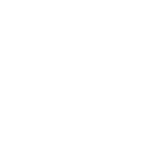 Record Label Vinyl Sticker by Fool's Gold Records