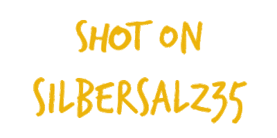 Film Photography Sticker by Silbersalz35