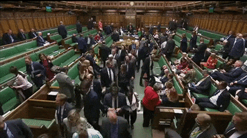 brexit parliament house of commmons GIF