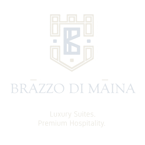 brazzodimaina GIF