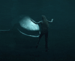 Big Fish GIF by The Chemical Brothers