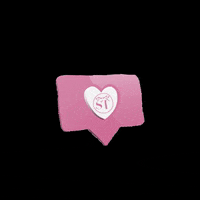 stefanytejada st stefanytejada teamst GIF