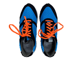 Lunge Lle Sticker by Laufladen Erfurt GmbH