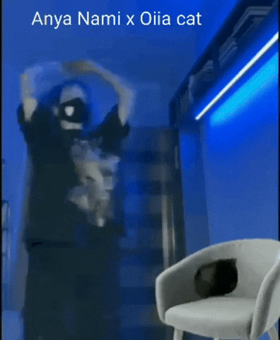 Ethel Spinning Cat GIF