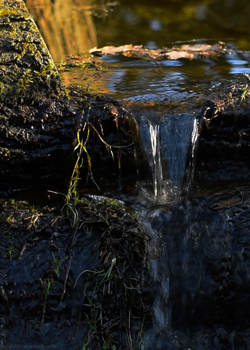 Water Landscape GIF by Head Like an Orange - Find & Share on GIPHY