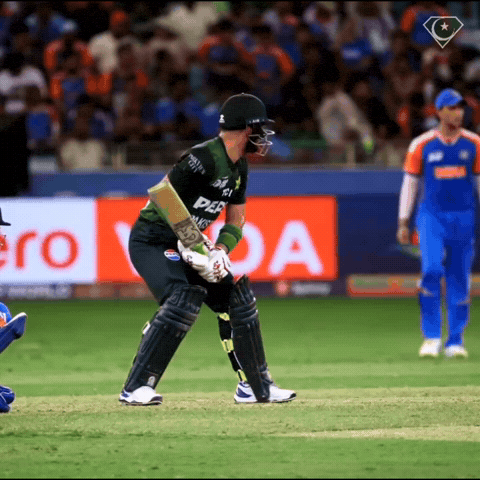 Indian Cricket Pakistan GIF