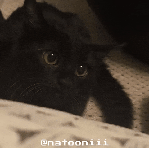 Natooniii GIF