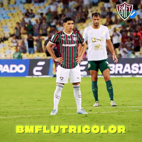 Fluminense GIF