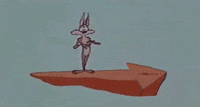 coyote wile GIF