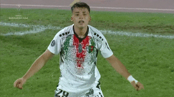 Ian GIF by Club Deportivo Palestino