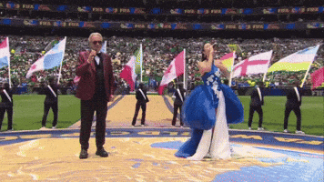 World Cup GIF