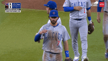 Mlb Cubs GIF by Marquee Sports Network