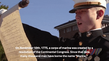 Marine Corps Birthday GIF by Storyful