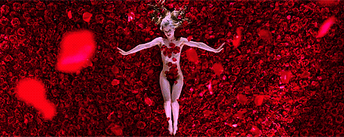 american beauty