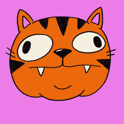 Excited Cat GIF