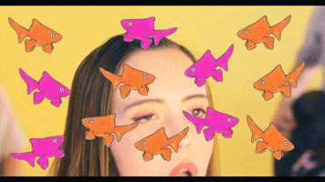 200.gif?cid=fc005b08c0504c474c556e66723dd345108ff74227831974&rid=200.gif&ct=g