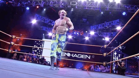   music sports sport wwe GIF