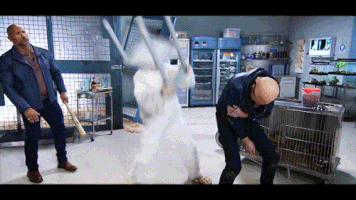 the rock fight GIF by Team Coco