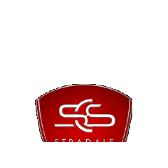 Stradale Car Service Sticker
