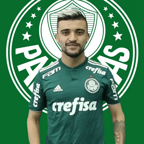 victor luis escudo GIF by SE Palmeiras