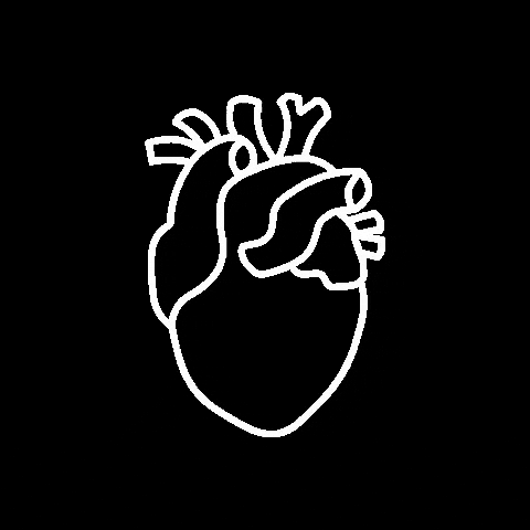 Heart Love GIF by True Passion