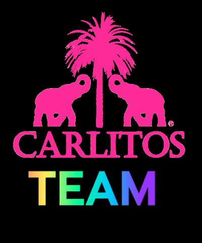 Carlitos_handmade carlitos carlitoshandmade GIF