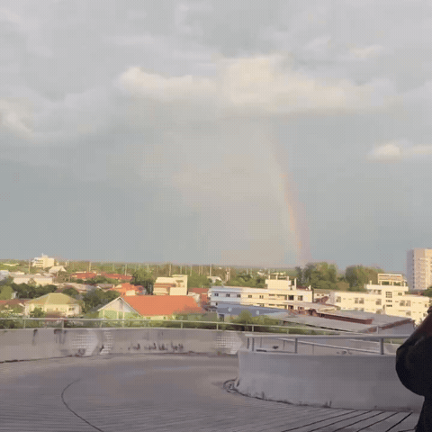 Rainbow Gay GIF