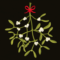 200.gif?cid=fc005b08c1a15fa3000e017350e121025771bb770e4300a9&rid=200.gif&ct=g