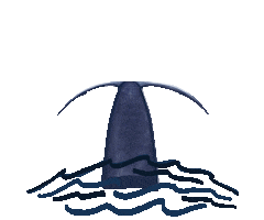 Illustration Ocean Sticker