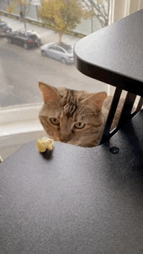 Micoud GIF